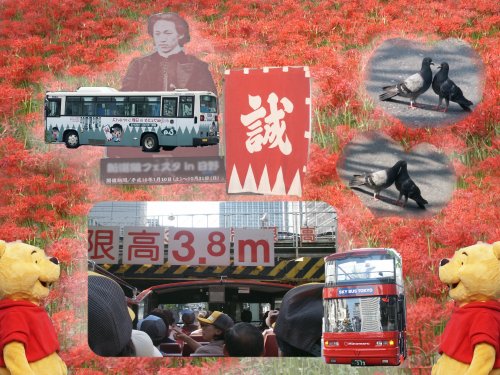 2004summer�摜