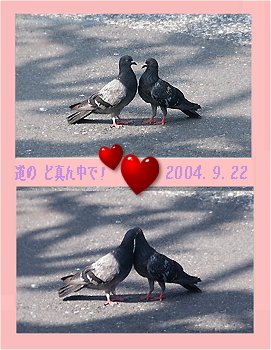 2004summer�摜
