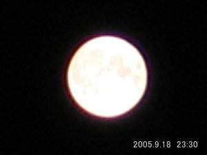 2005 ���H�̖��� �摜