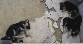 �ʐ^