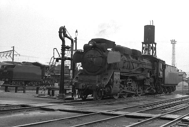 ume-d51708.jpg