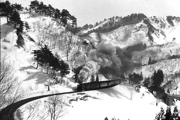 tenoko-1.jpg