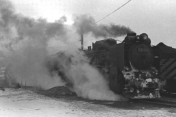 d51367.jpg
