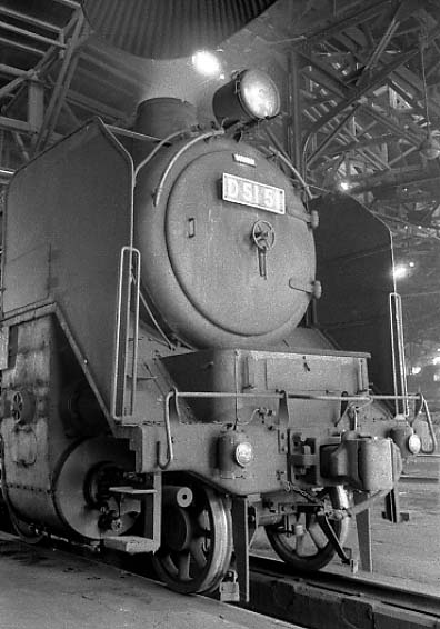 d5151.jpg