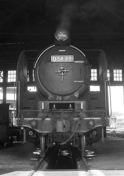 d5178.jpg