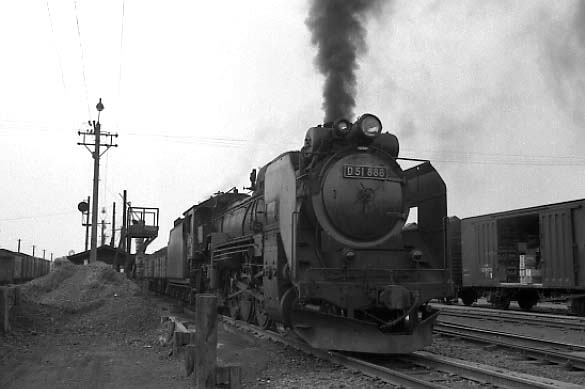 d51888.jpg