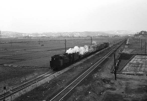 honjo-2.jpg