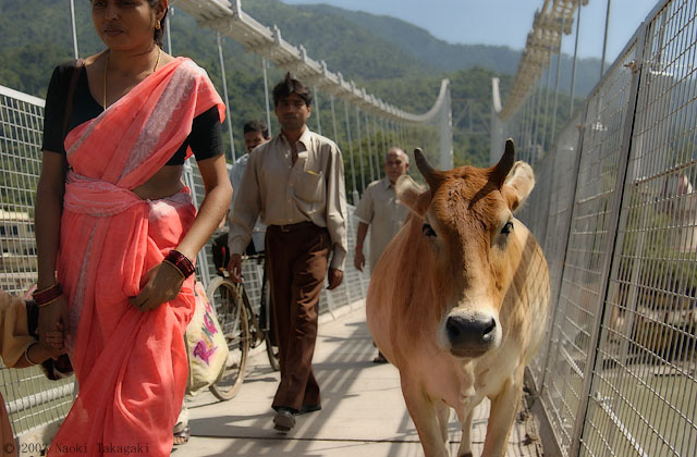 rishikesh_002